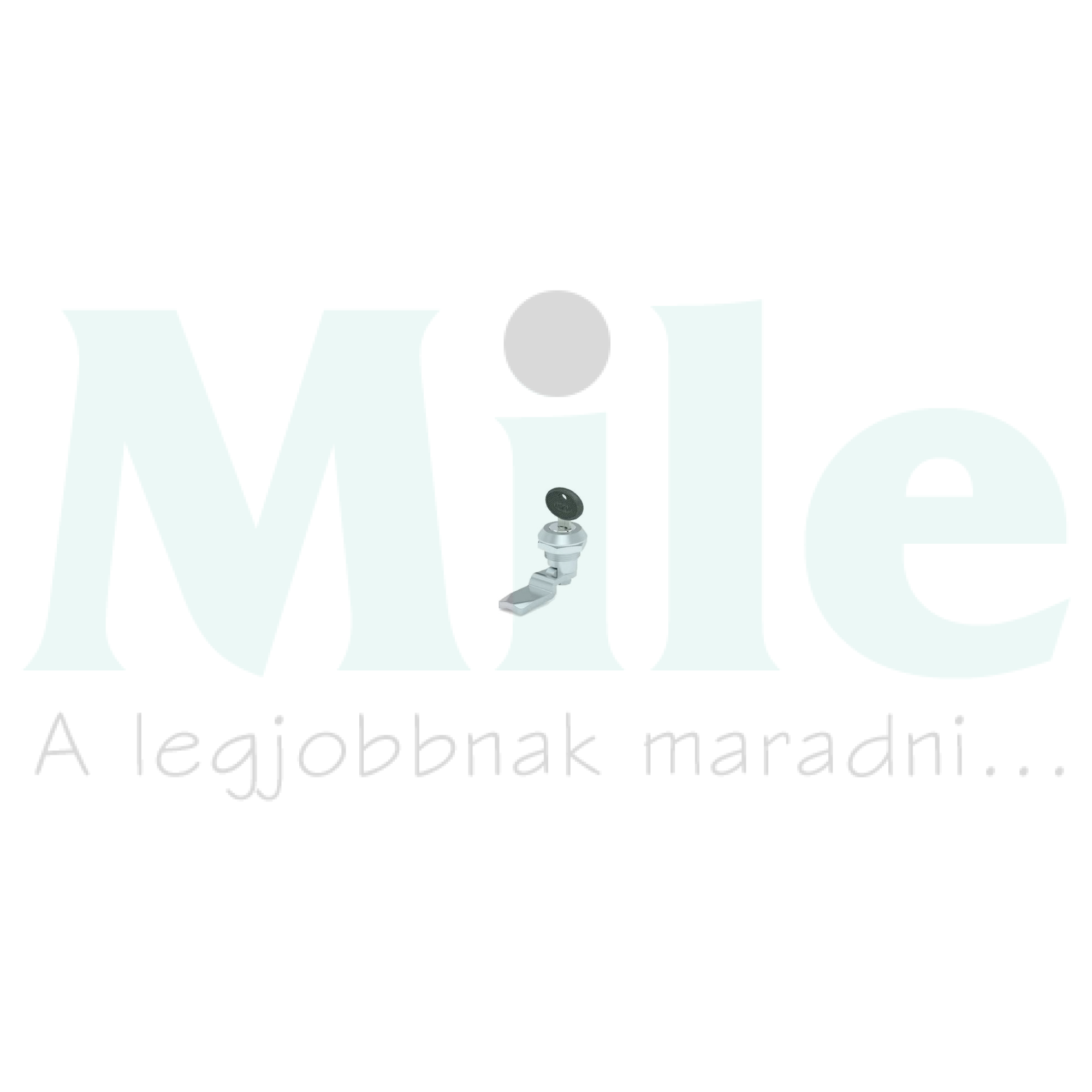 Biztonsági zár +2kulcs hengeres kulcsos EAE